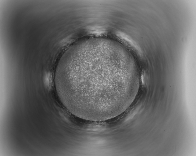 X0000096661347200802261333