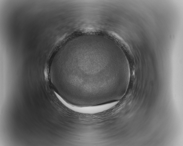 X0000096661348200802261333