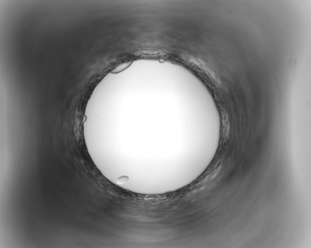 X0000096661350200802261333