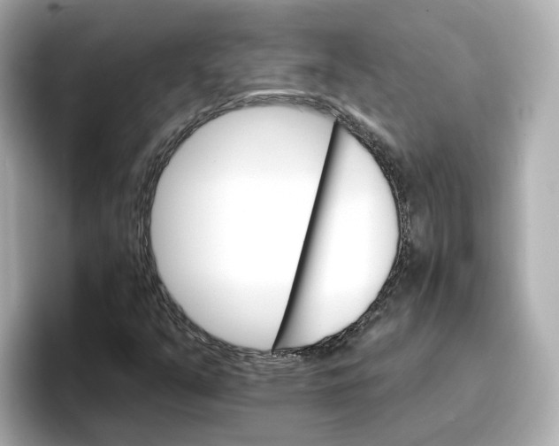 X0000096661351200802261333