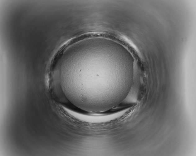 X0000096661352200802261333