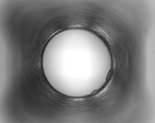 X0000096661353200802261333