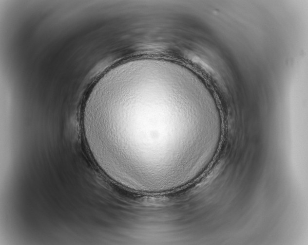 X0000096661354200802261333