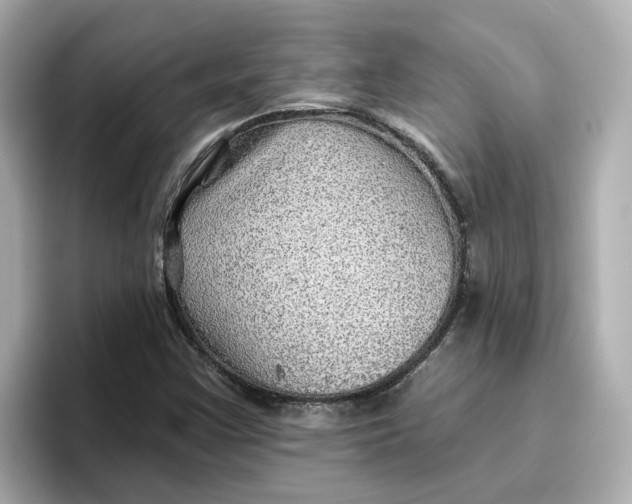 X0000096661355200802261333