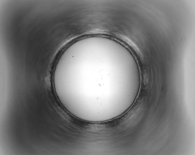 X0000096661356200802261333