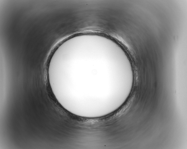 X0000096661358200802261333