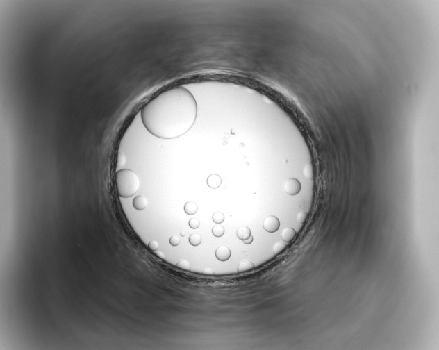 X0000096661359200802261333