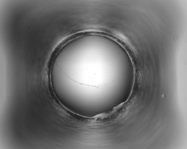 X0000096661360200802261333