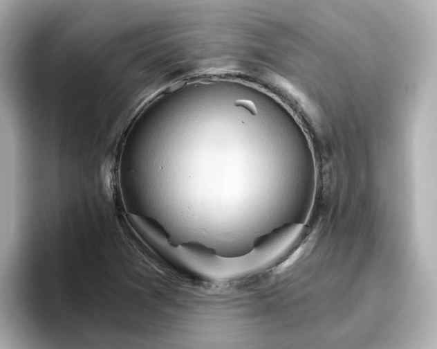 X0000096661361200802261333