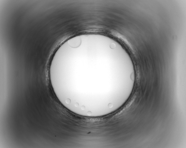 X0000096661362200802261333