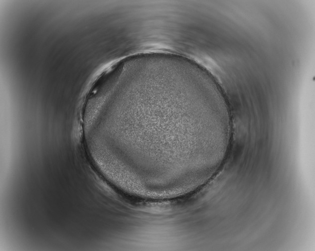 X0000096661363200802261333