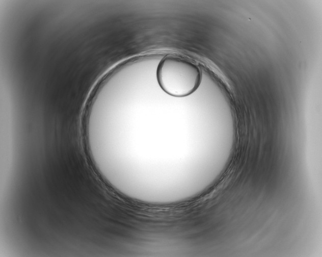 X0000096661364200802261333