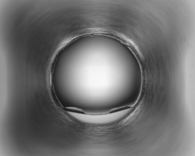 X0000096661365200802261333