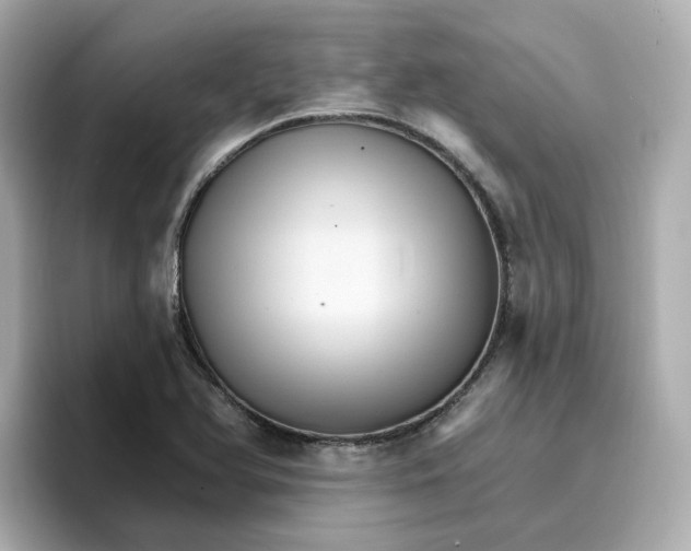 X0000096661366200802261333