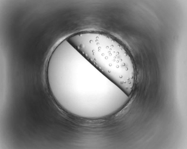 X0000096661367200802261333