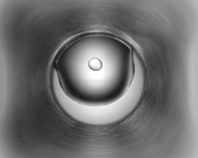 X0000096661368200802261333