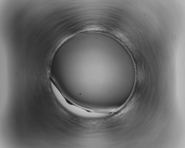 X0000096661369200802261333