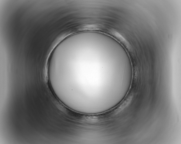 X0000096661370200802261333