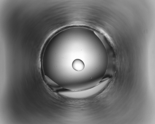 X0000096661372200802261333