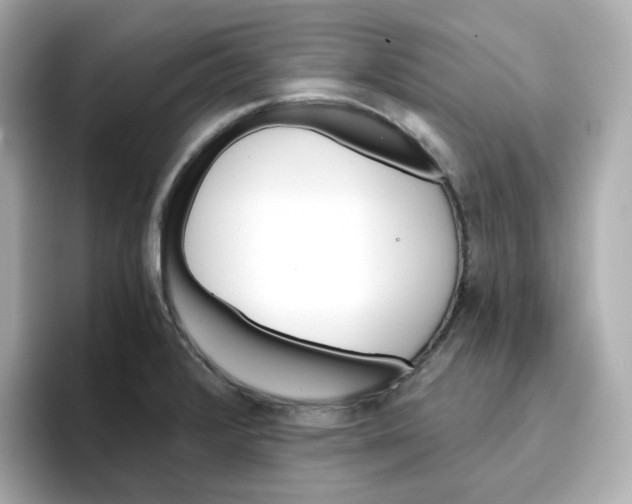 X0000096661376200802261333