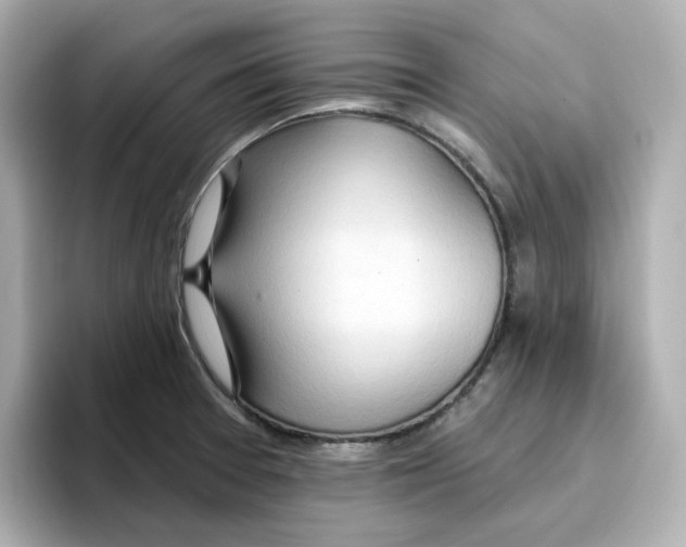 X0000096661377200802261333