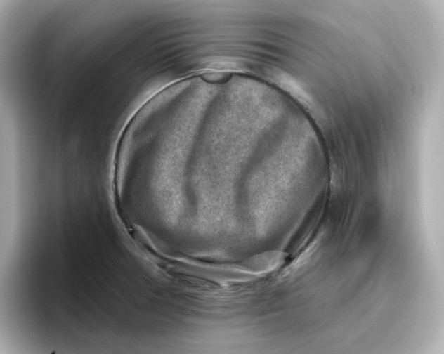 X0000096661378200802261333