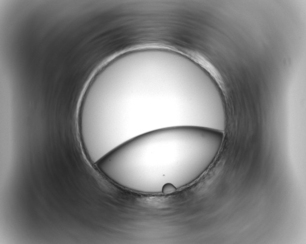 X0000096661380200802261333