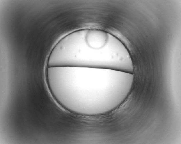 X0000096661383200802261333