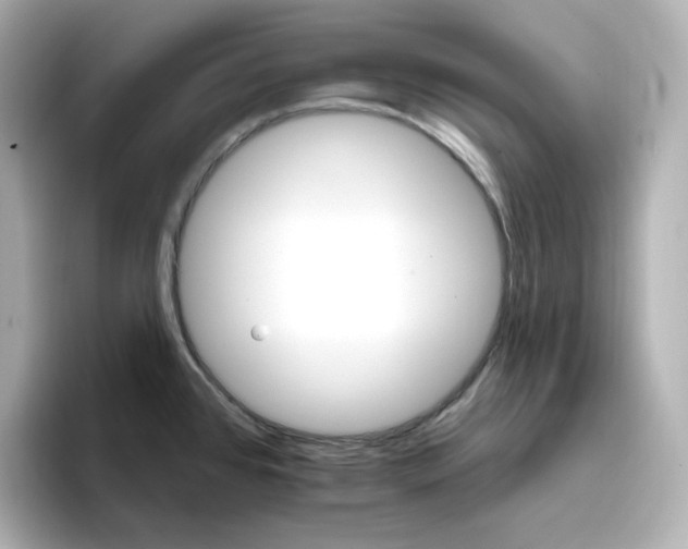 X0000096661384200802261333