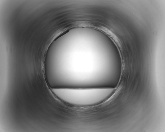 X0000096661385200802261333