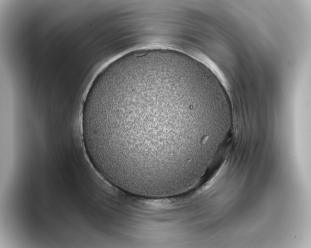 X0000096661388200802261333