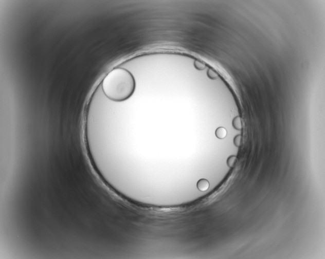 X0000096661390200802261333