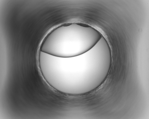 X0000096661392200802261333