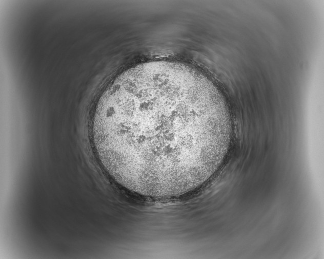 X0000096661393200802261332