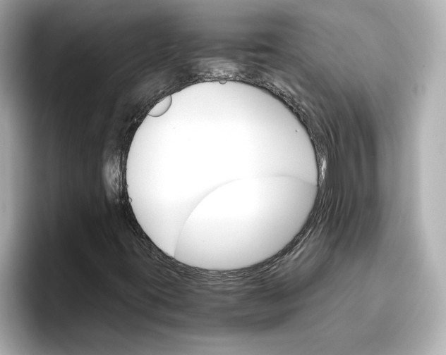 X0000096661395200802261332