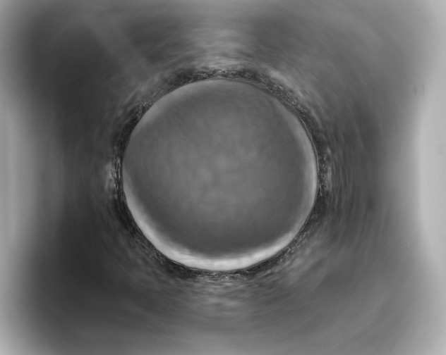 X0000096661397200802261332