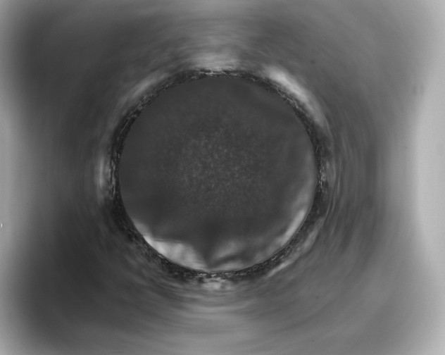 X0000096661398200802261332