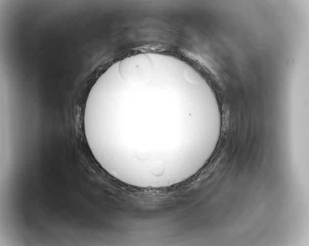 X0000096661399200802261332