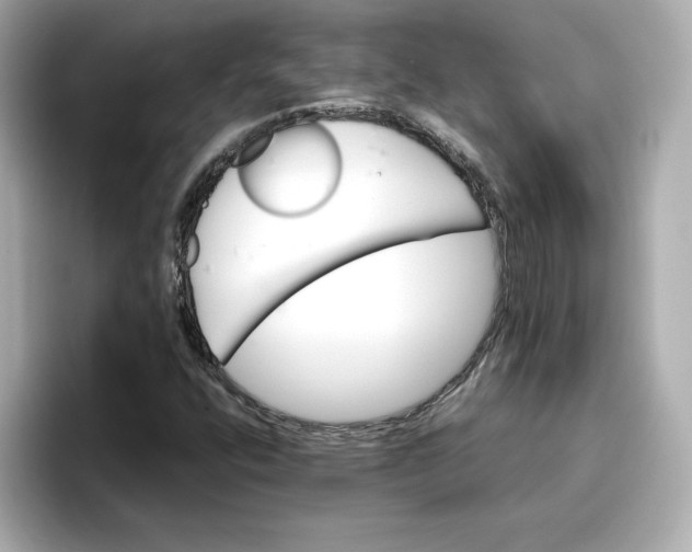 X0000096661400200802261332