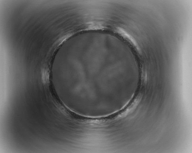 X0000096661401200802261332