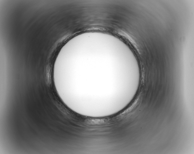 X0000096661403200802261332