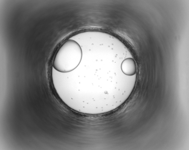 X0000096661404200802261332