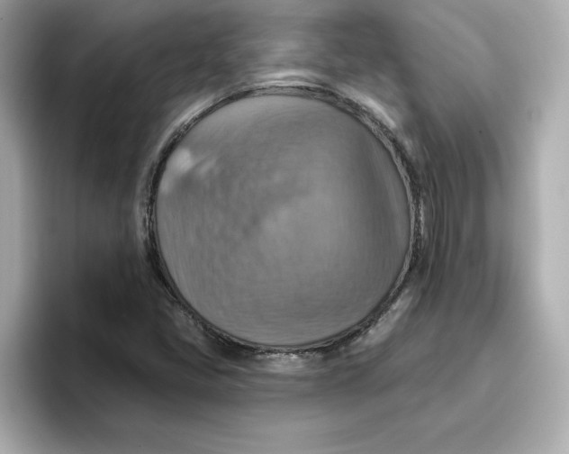 X0000096661405200802261332