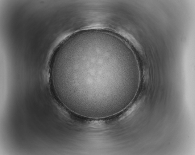 X0000096661406200802261332