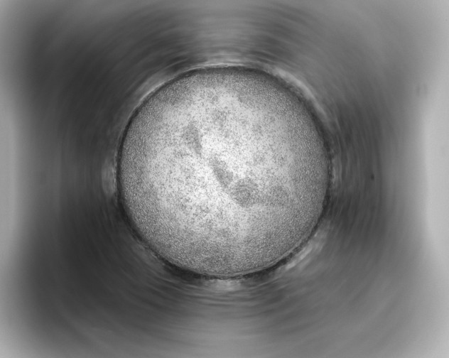 X0000096661409200802261332