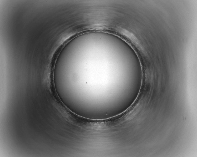 X0000096661410200802261332