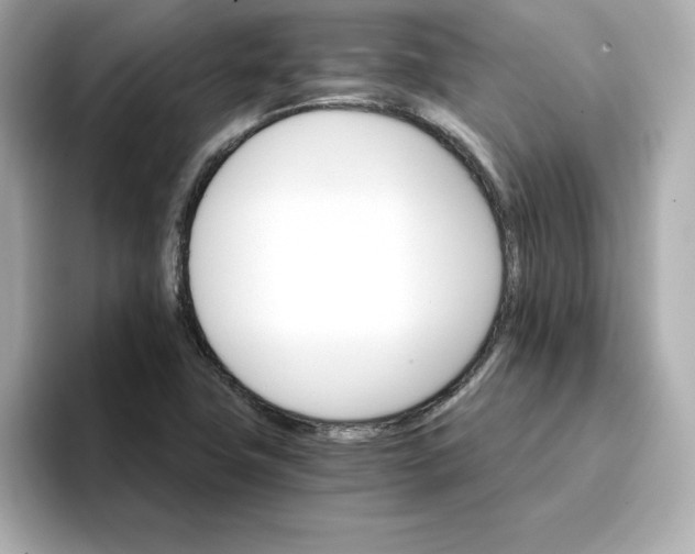 X0000096661411200802261332