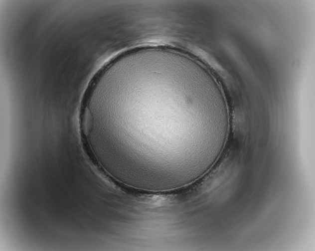 X0000096661412200802261332