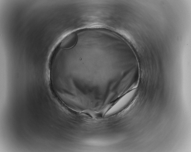 X0000096661414200802261332