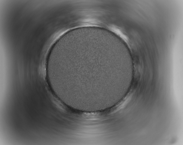 X0000096661415200802261332